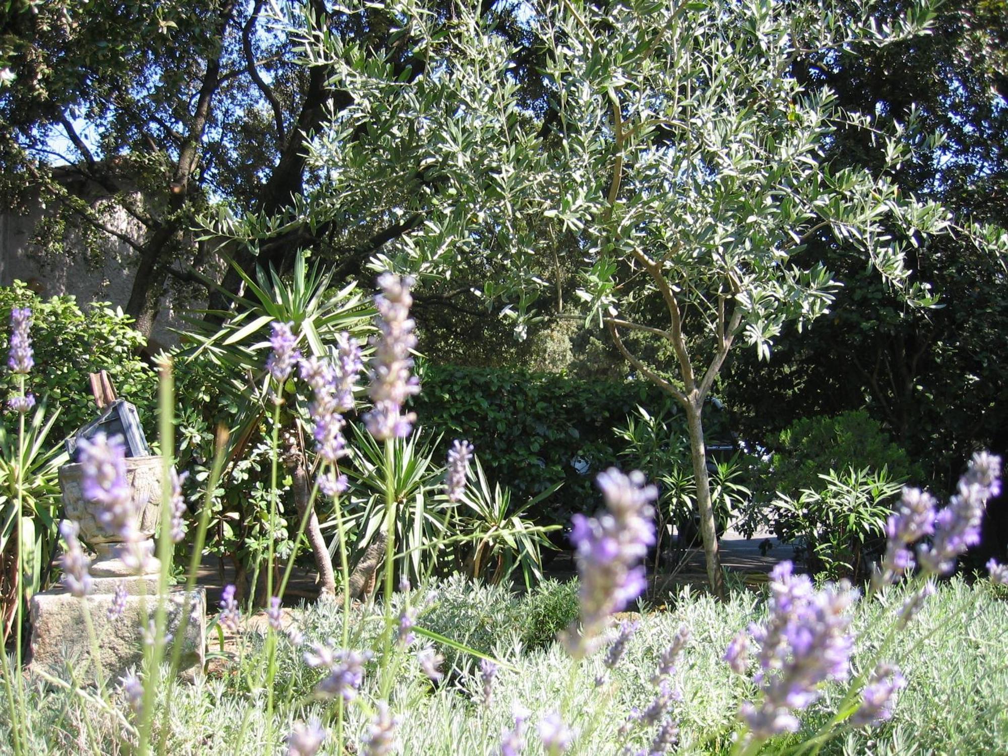 Le Petit Manoir Logis Hotel Les Angles  ภายนอก รูปภาพ